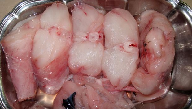 photo: Νίκος Μορόπουλος