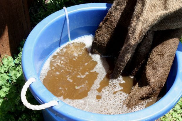 photo: Άντυ Παξινός