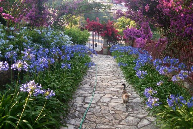 Photo: Μαριλή Αναργύρου