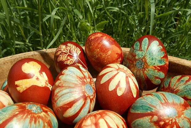 photo: Αμαλία Λογαρά