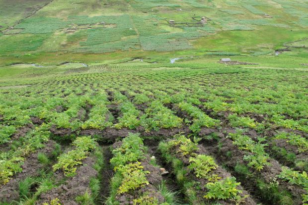 Photo: Planttreaty/Flickr