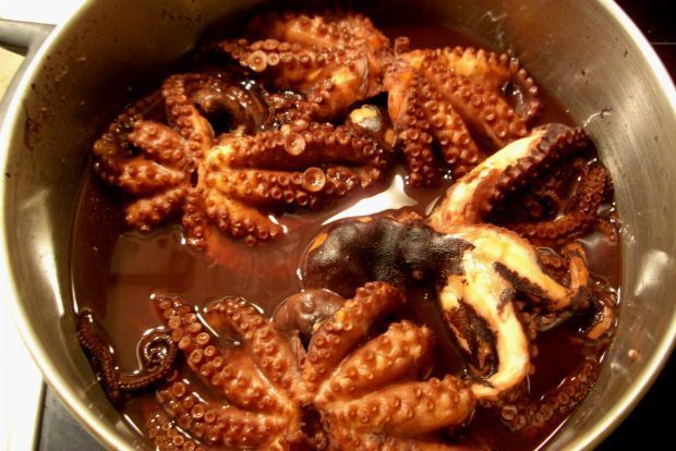 Φωτo: Αναστάσιος Μέντης, www.mentistudio.com