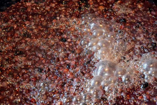 Το καζάνι και ο ψύκτης