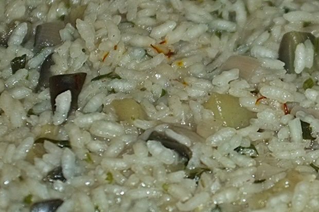 [photo: Νικος Μορόπουλος]