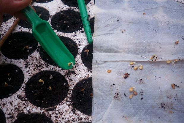 photo: Άντυ Παξινός