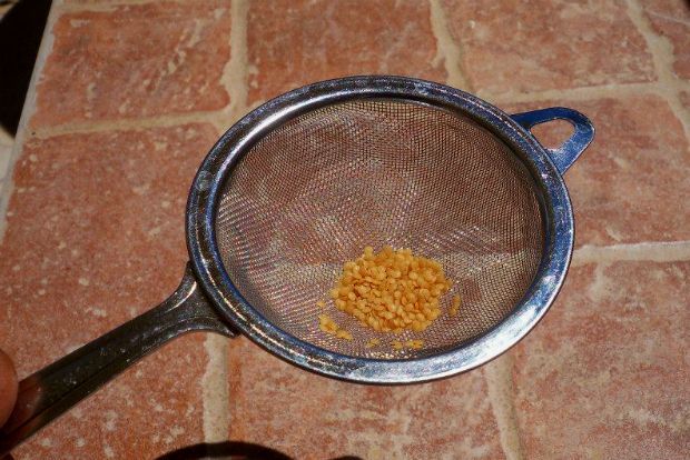 φωτό: Άντυ Παξινός