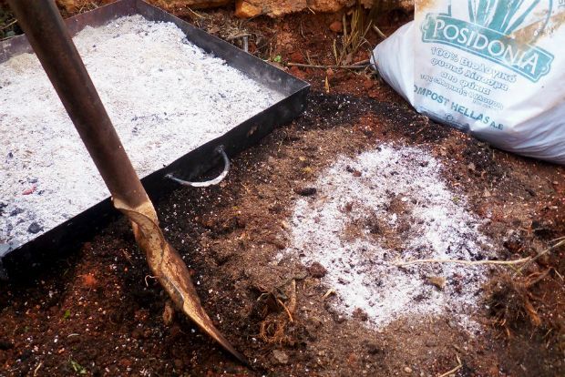 photo: Άντυ Παξινός