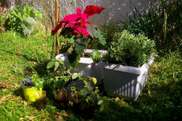 photo: Άντυ Παξινός