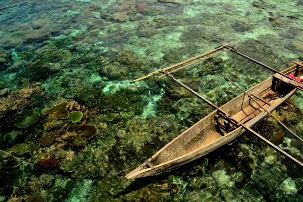 Photo: coralreefcreator.wordpress.com