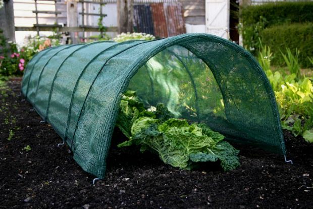 Photo: commons.wikimedia.org