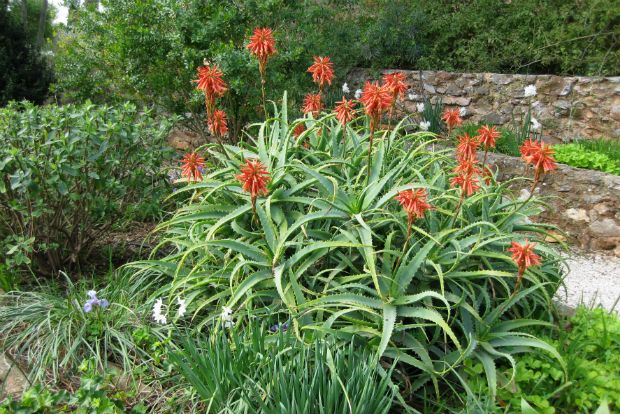 φωτο: Βάινα Μιχαηλίδη