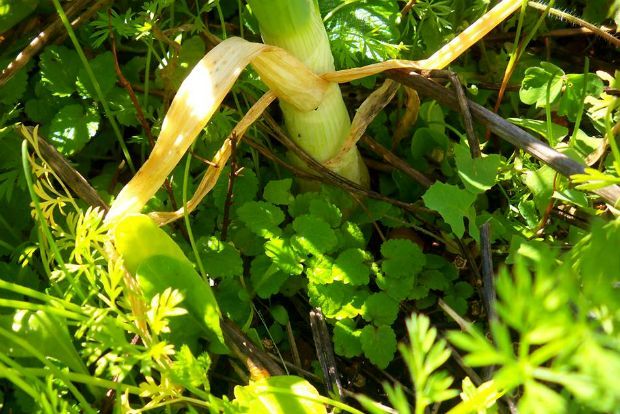 photo: Άντυ Παξινός