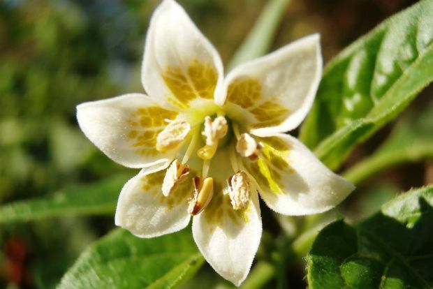 photo: Άντυ Παξινός