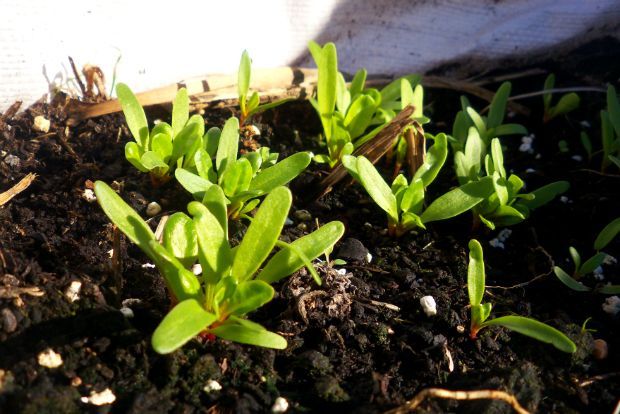 photo: Άντυ Παξινός