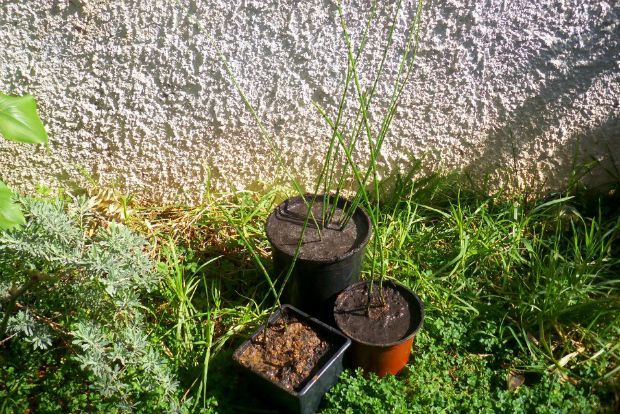 photo: Άντυ Παξινός