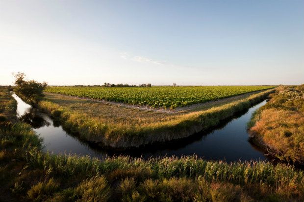 Ο καθηγητής οινολογίας Τσεν Τσιεν Χάο παράγει στην Ταϊβάν κρασί που βραβεύτηκε στο Concours Mondial de Bruxelles [Του κόσμου τα παράξενα κρασιά]
