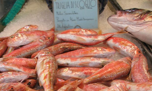 Photo: Μορόπουλος Νίκος