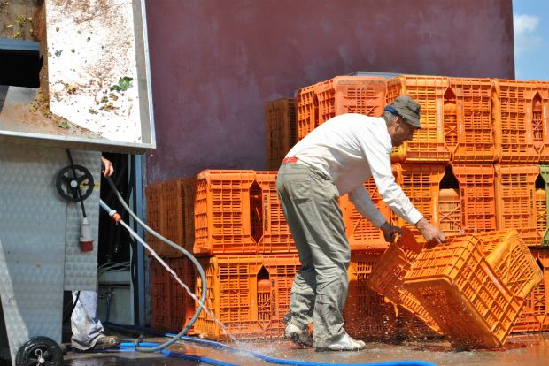 photo: Άννα Γαλανού