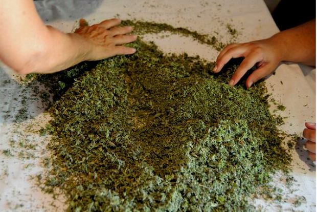 Photo: DarbCU/Flickr