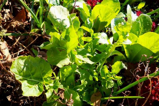 photo: Άντυ Παξινός