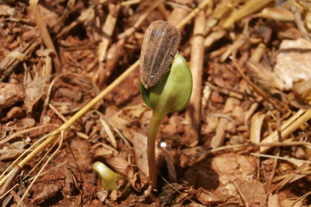 photo: Άντυ Παξινός