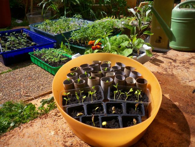photo: Άντυ Παξινός