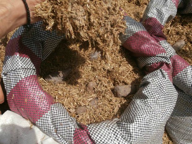 photo: Άντυ Παξινός