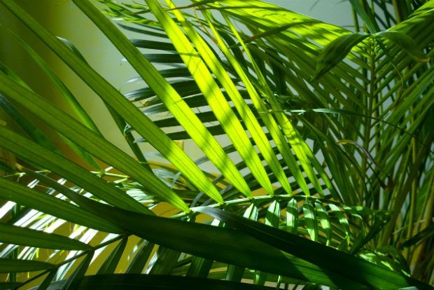 Photo: silver_bullet@Flickr