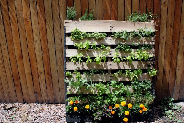 Photo: heathermueller.wordpress.com