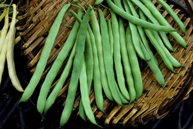 marksvegplot.blogspot.com