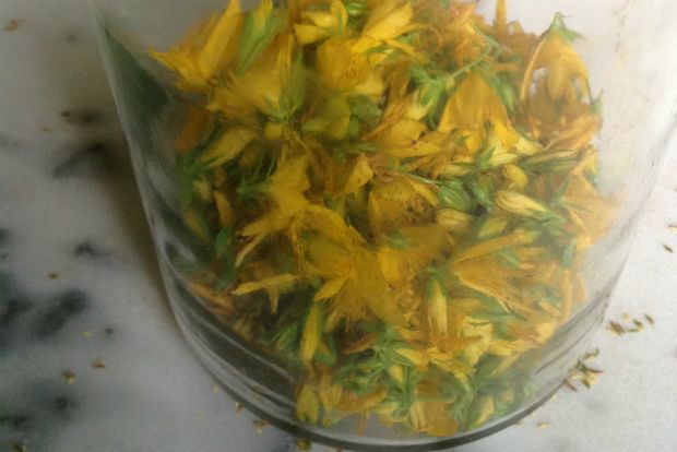 Hypericum perforatum