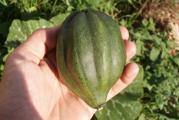 Photo: Παξινός Άντυ