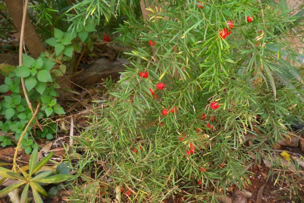 photo: Άντυ Παξινός