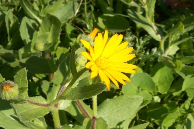 photo: Άντυ Παξινός