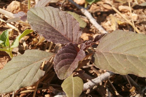 Photo: Αντυ Παξινός