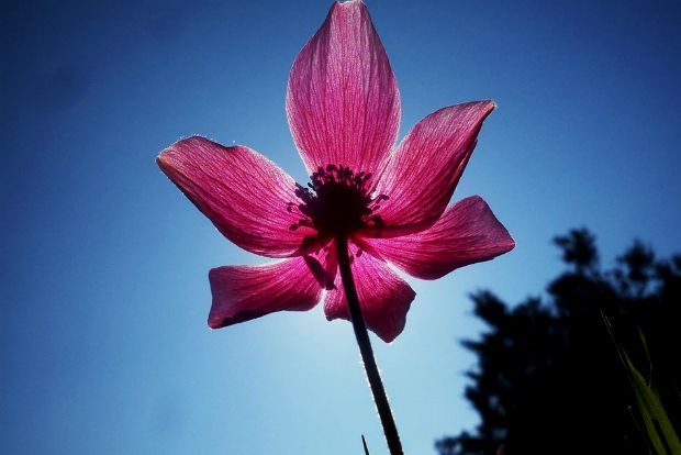 photo: Άντυ Παξινός