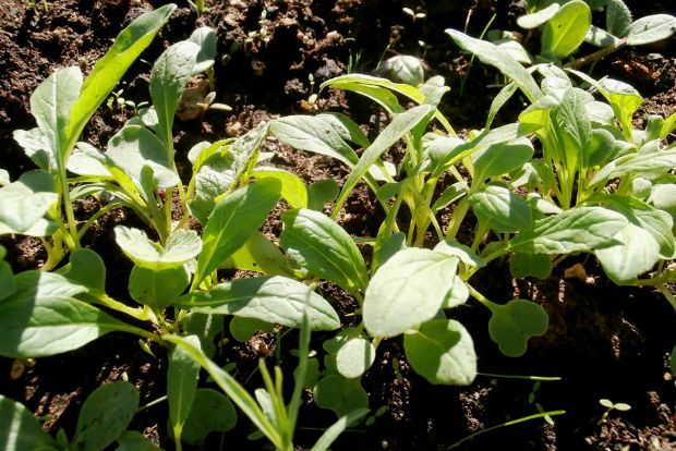 photo: Άντυ Παξινός