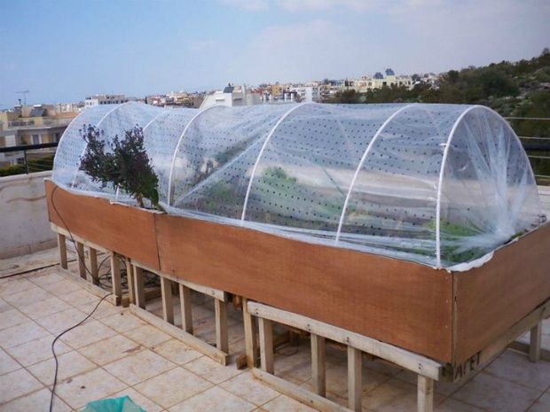 photo: Άντυ Παξινός