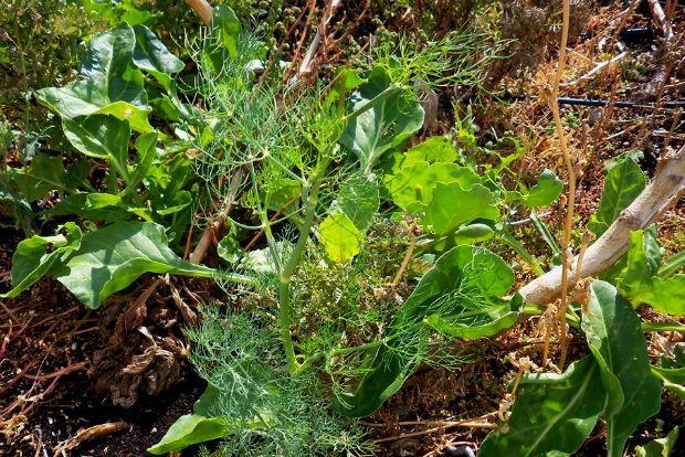 photo: Άντυ Παξινός