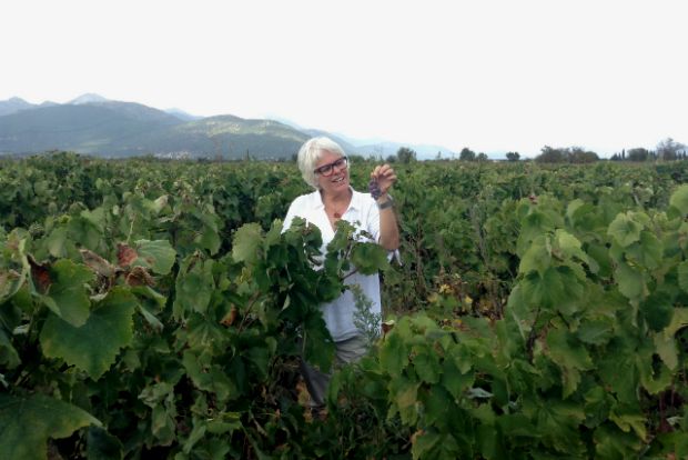 photo: Δημήτρης Μπούτος