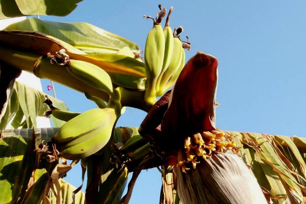 photo: Άντυ Παξινός