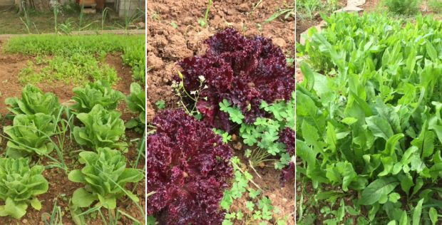 photo: Κική Τριανταφύλλη