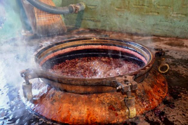 Ρώγες και χυμοί