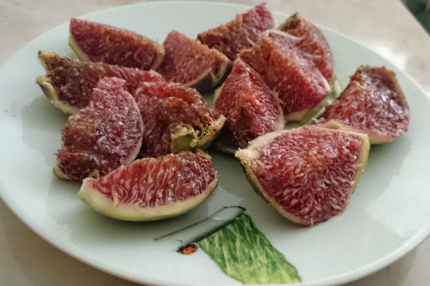 photo: Νίκος Μορόπουλος