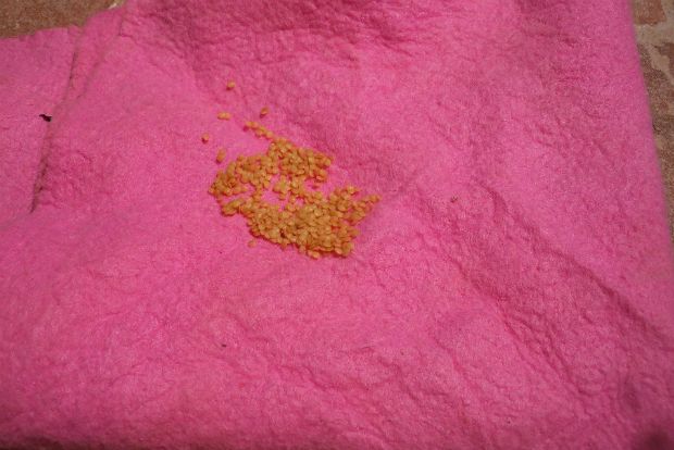 φωτό: Άντυ Παξινός