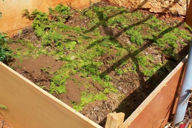 photo: Άντυ Παξινός