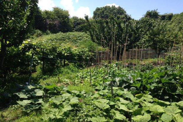 φωτό: Κική Τριανταφύλλη