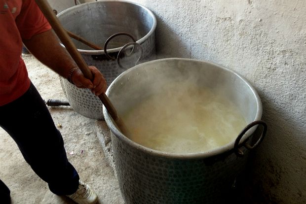 Στόλισμα με φρεσκοκομμένες λιγαριές