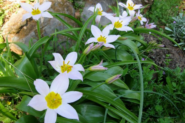 φωτο: Βάινα Μιχαηλίδη