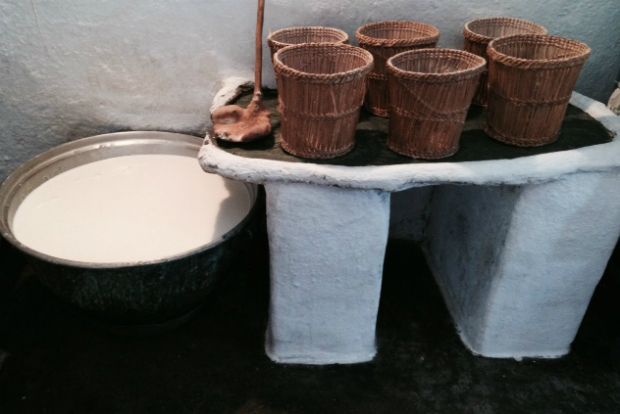 Ξεμανουριστής, φωτό: Κική Τριανταφύλλη